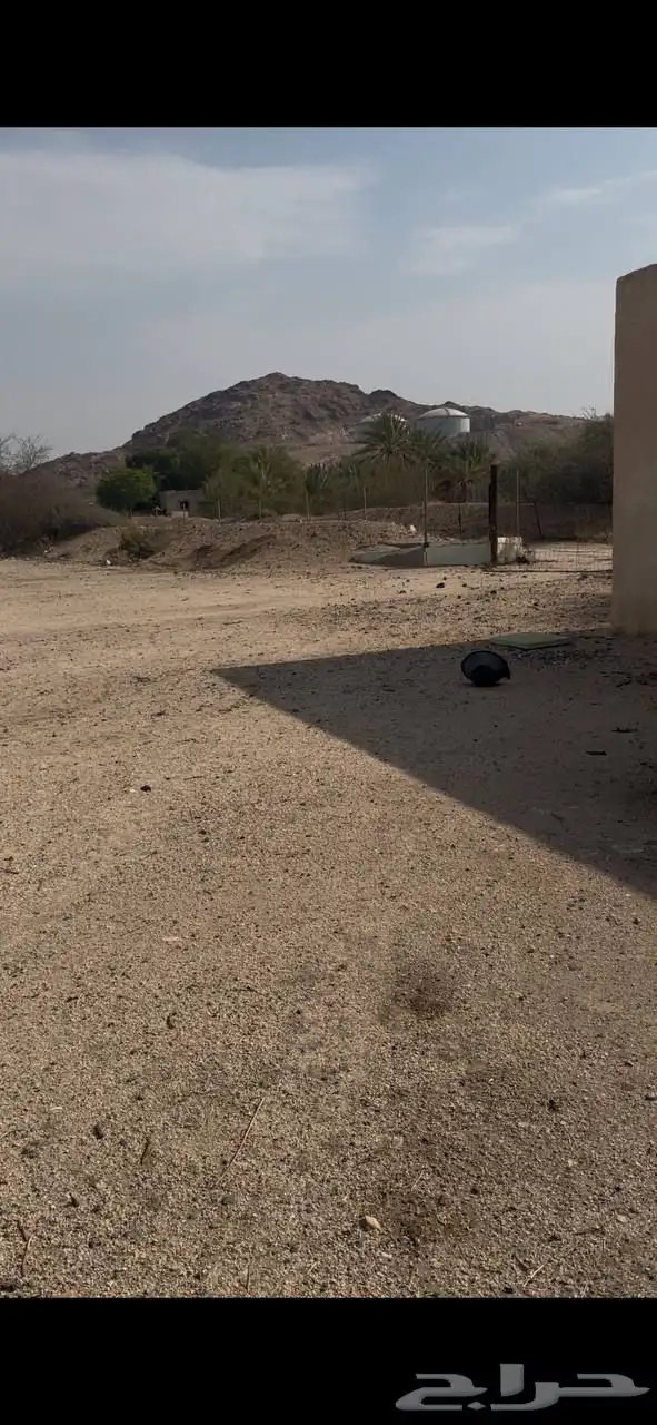 مزرعة بصك إلكتروني للبيع 1