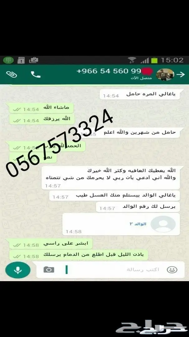 عسل سدر أول الموسم وخلطة محفزة للأنجاب 9