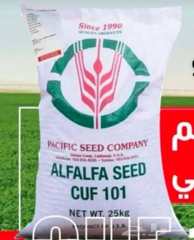 4 اكياس بذور برسيم امريكي باسفيك 0