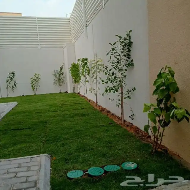 ثيل طبيعي سى 2000 0