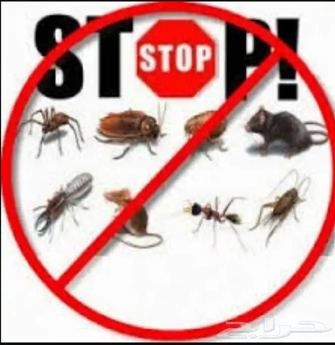 شركة تركيب طارد اشواك الحمام بمكة شركة مكافحة حشرات بمكة 7