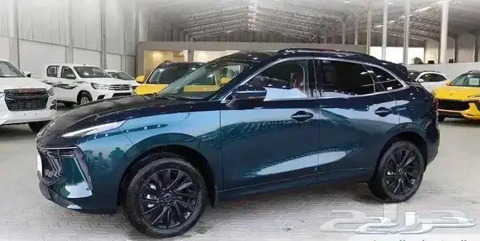 ونج فينج T5 Evo عرض خاص 2023 2