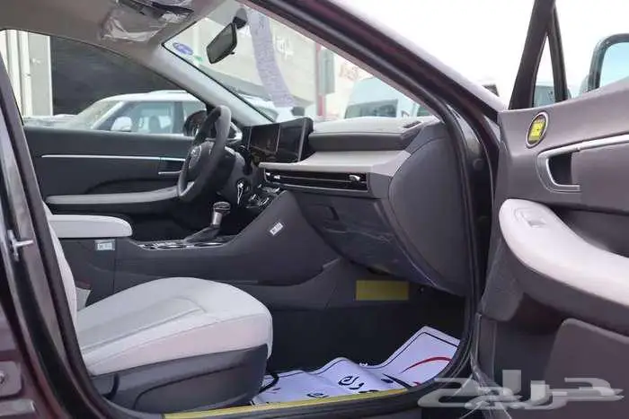 هيونداى سوناتا 2026 فليت 11