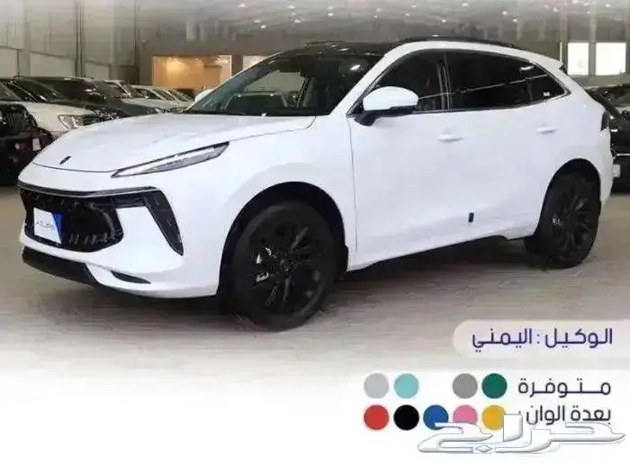 ونج فينج T5 Evo عرض خاص 2023 1