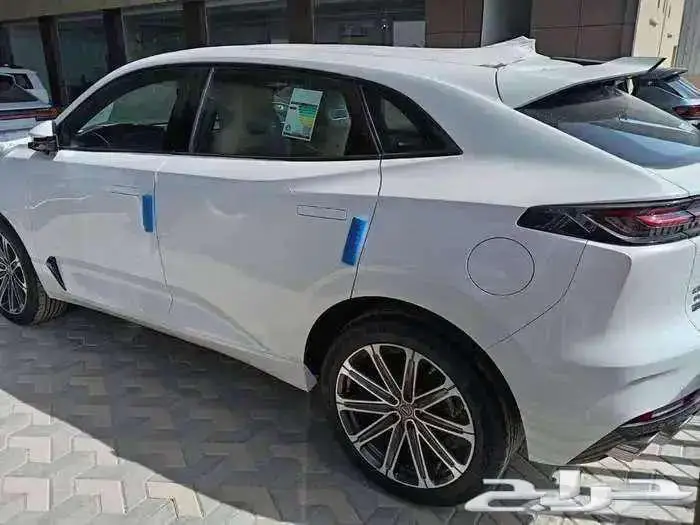 شانجان يوني كي 2026 وكيلها المجدوعي 5