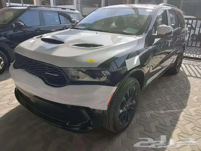 شانجان يوني كي 2026 وكيلها المجدوعي 10