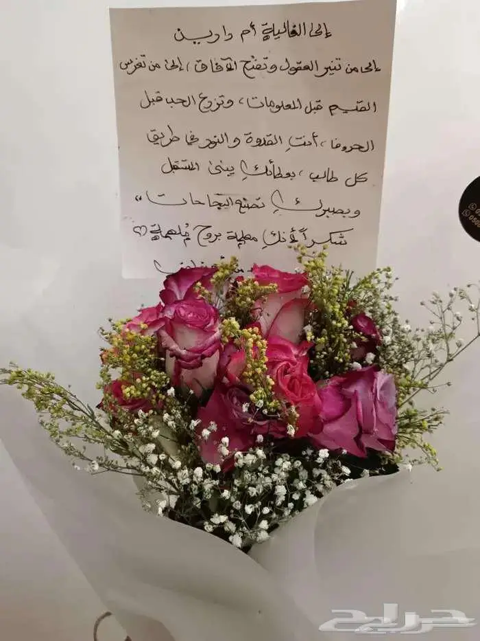 معلمة خصوصية الطائف تأسيس ومتابعة للمرحلة الابتدائية 0