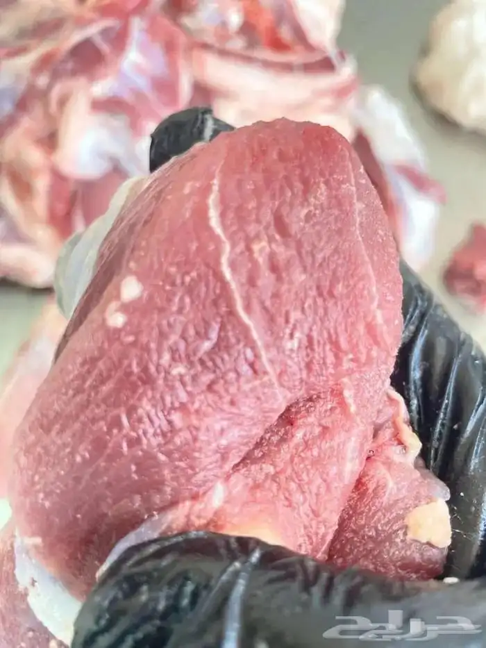 ذبائح الراعي حري نعيمي سواكن ذبائح تابي تمارا 4