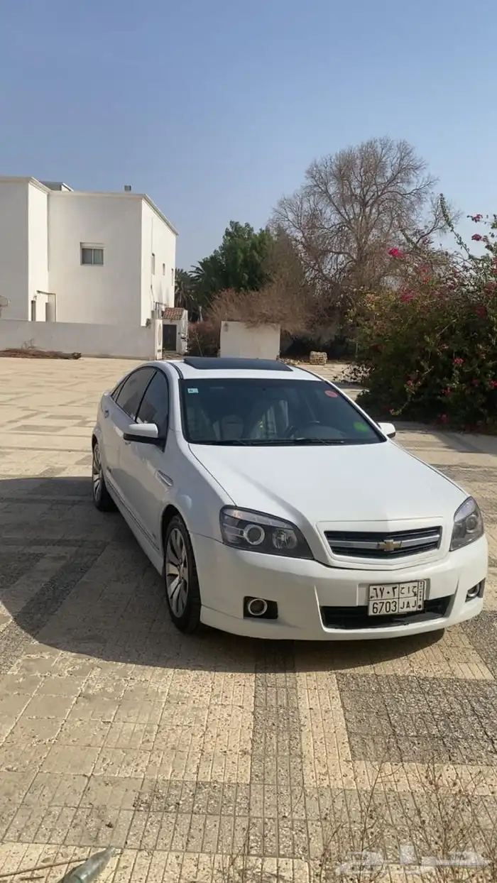 كابرس 2013 ss مالك اول 2