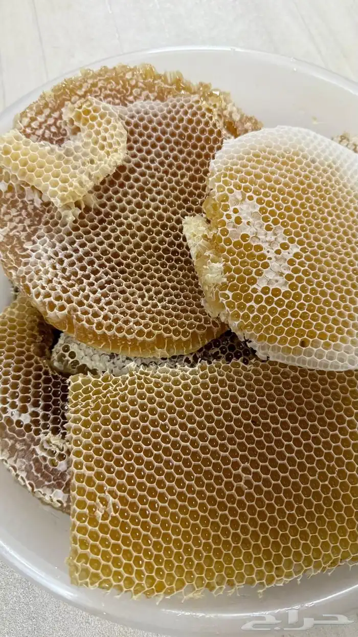 عسل سدر صافي مشروط 3 كيلو (سدرة رجال المع) السوم 900 ريال 0