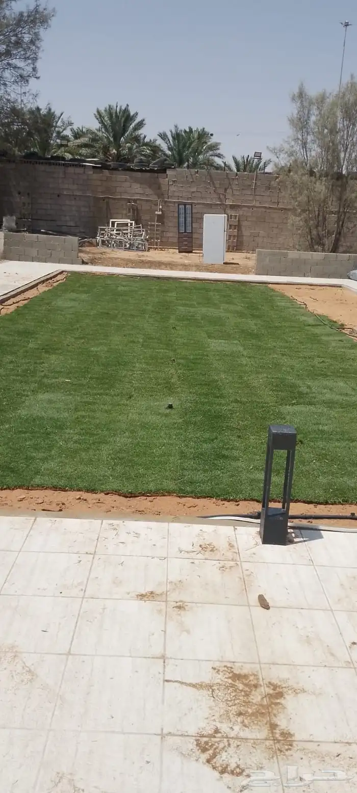 ثيل طبيعي سى 2000 9