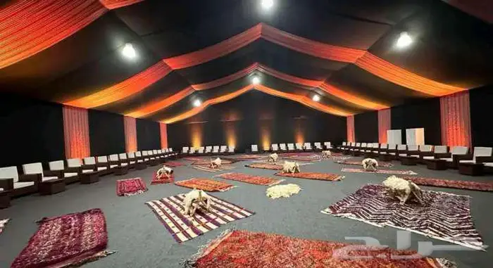 خيمه اوروبيه للايجار ايجار خيمه اوروبيه 3