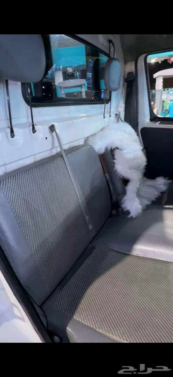 دباب للبيع 2014 نظيف جدا ي مدور النظيف شرط 2