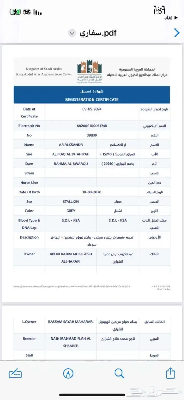 الحصان للبيع 3