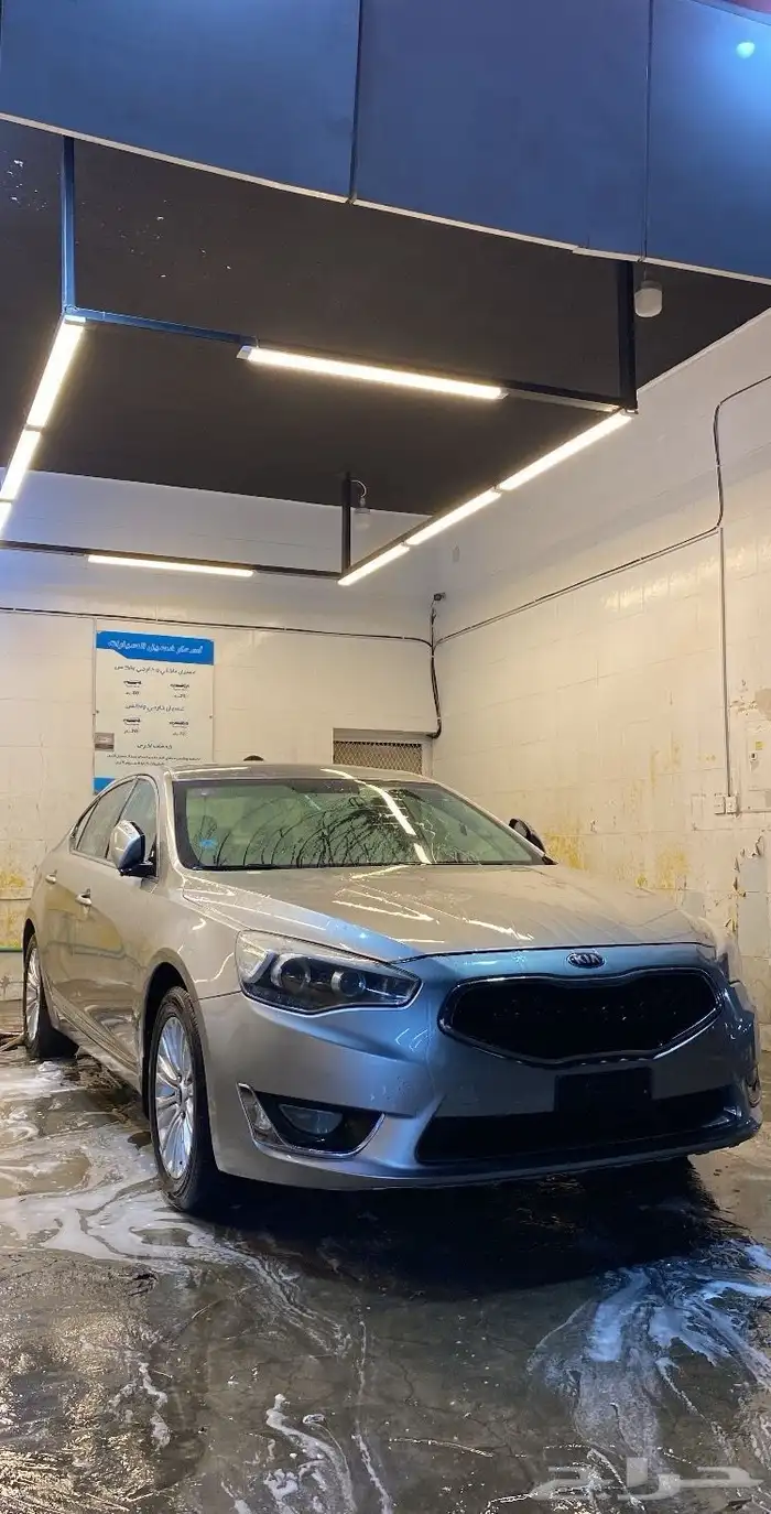 كادينزا 2015 2