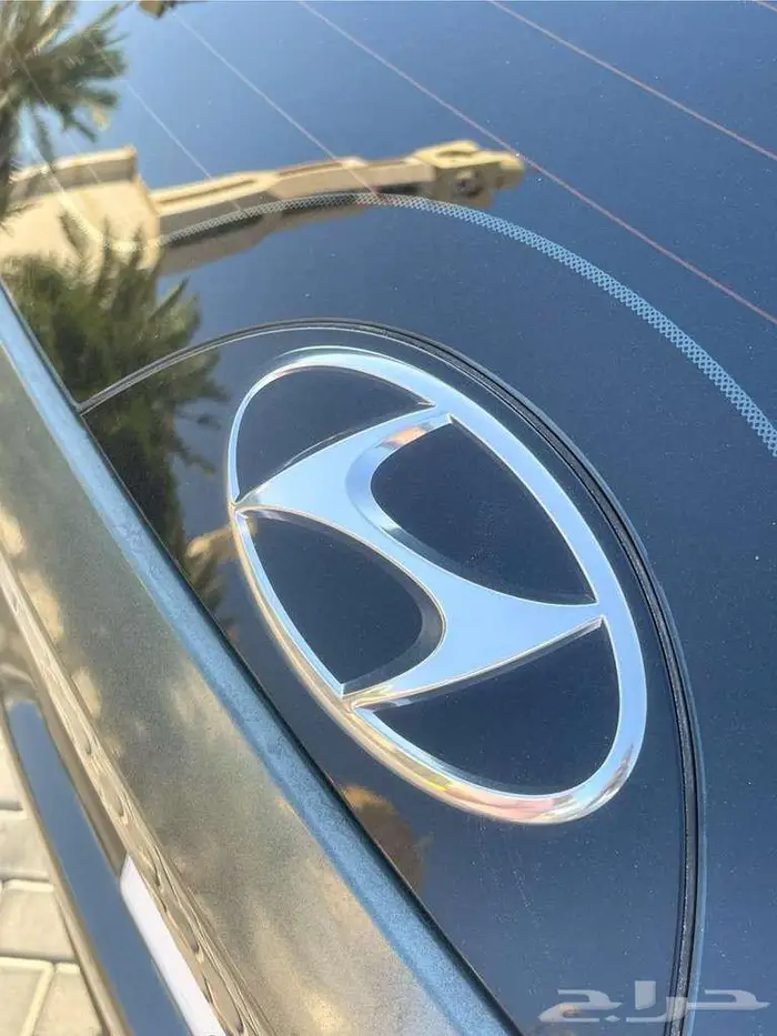 توسان 23 نص فل 13