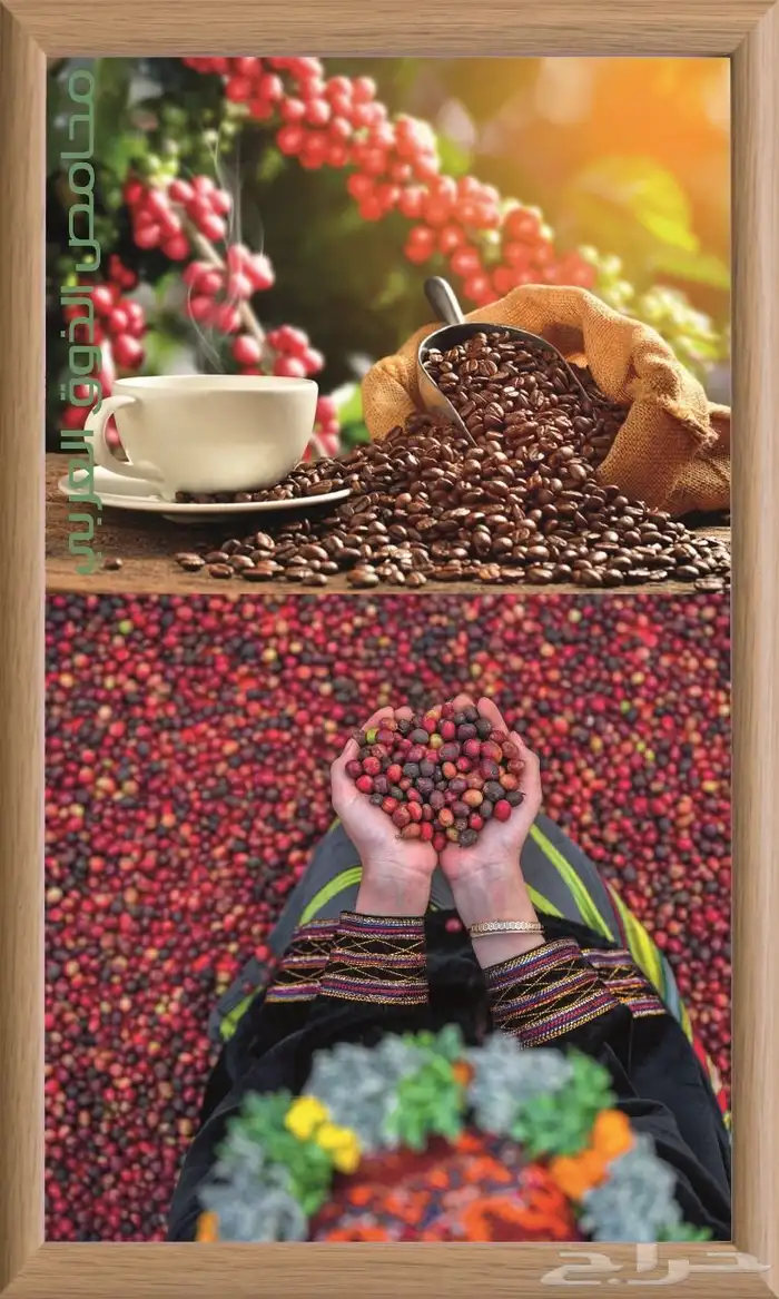 للدعاية والإعلان 7