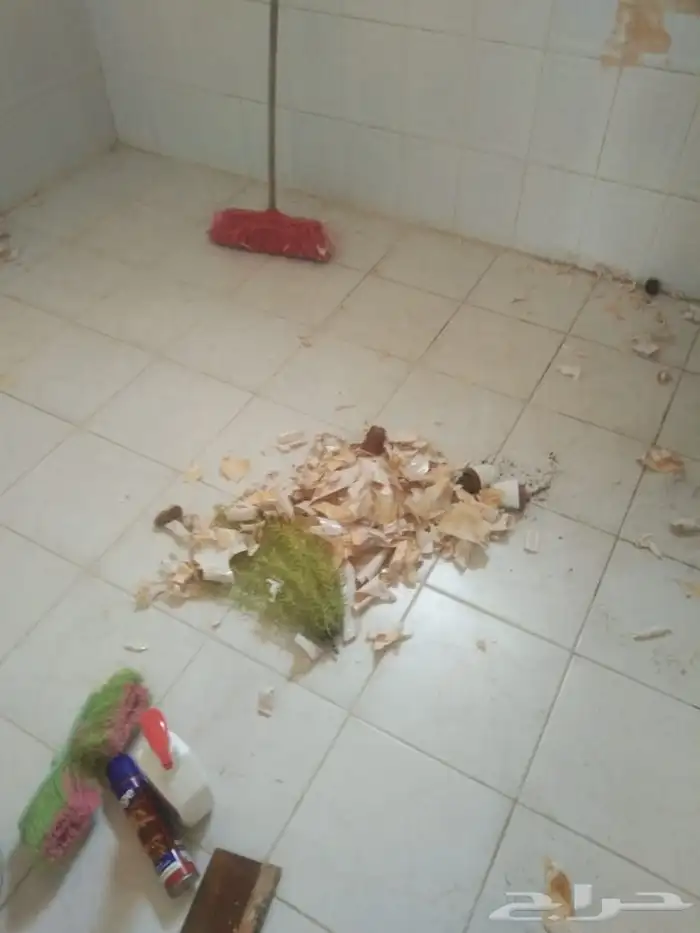 شركة تنظيف شقق بالرياض تنظيف شقق 0