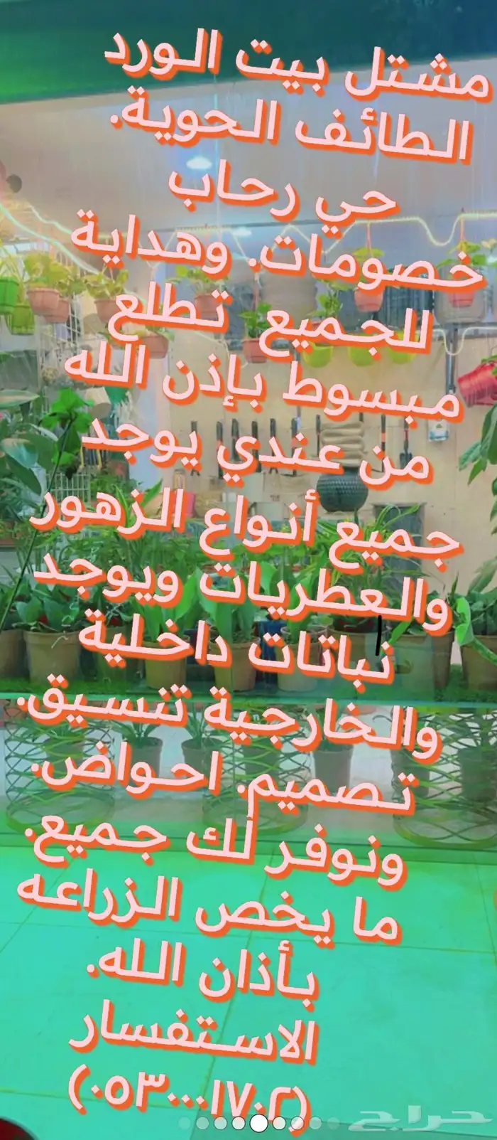 الطائف. الحوية رحاب 23