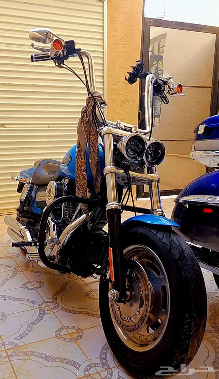 هارلي داينا fat bob 2
