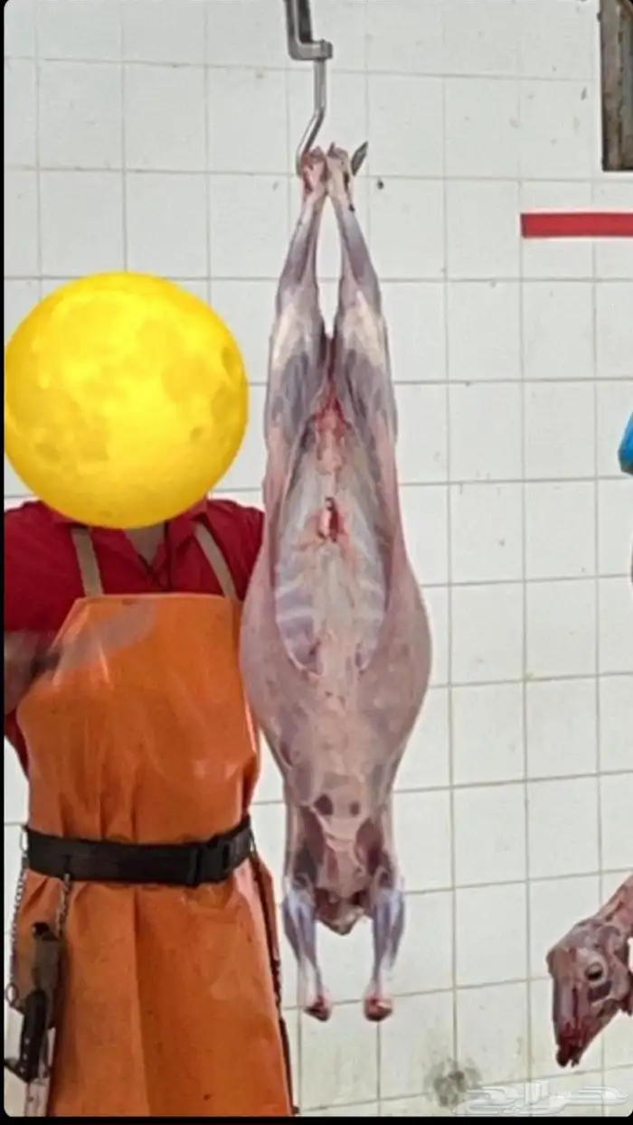 ذبيحتك واصله لبيتك 5