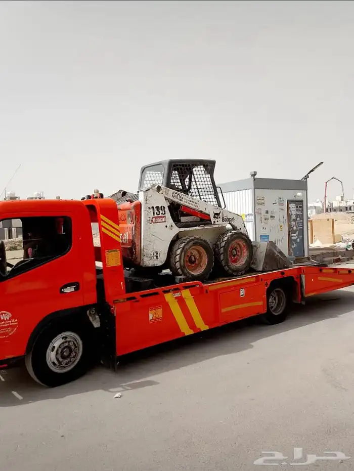 بوبكات بوبكاتات حواس شيول جراف صغير 1