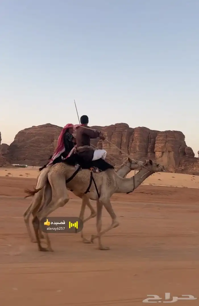 ركبي للبيع 1