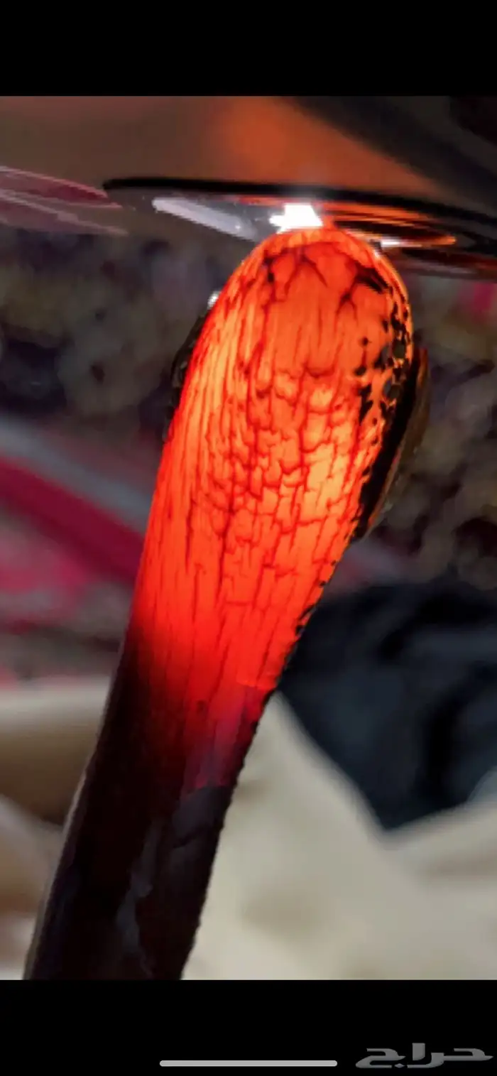 جنبيه زراف 0