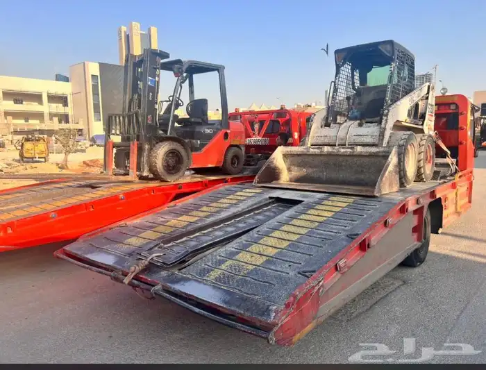 بوبكات بوبكاتات حواس شيول جراف صغير 4