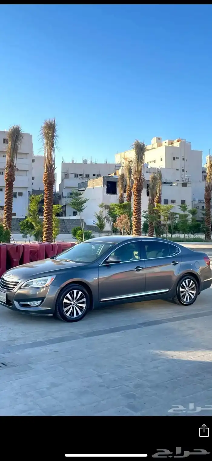 كادينزا 2012 2