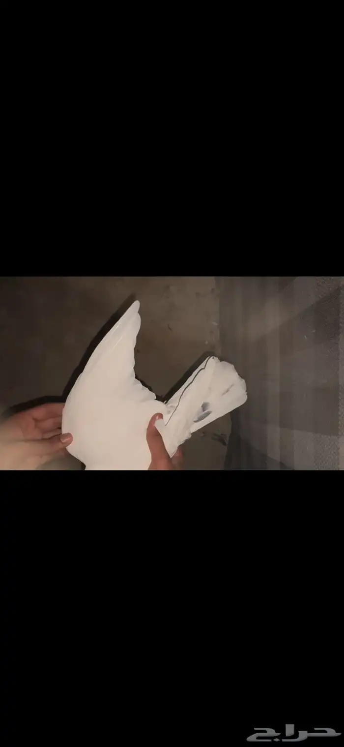 جوز سالكوتي موتيا 2