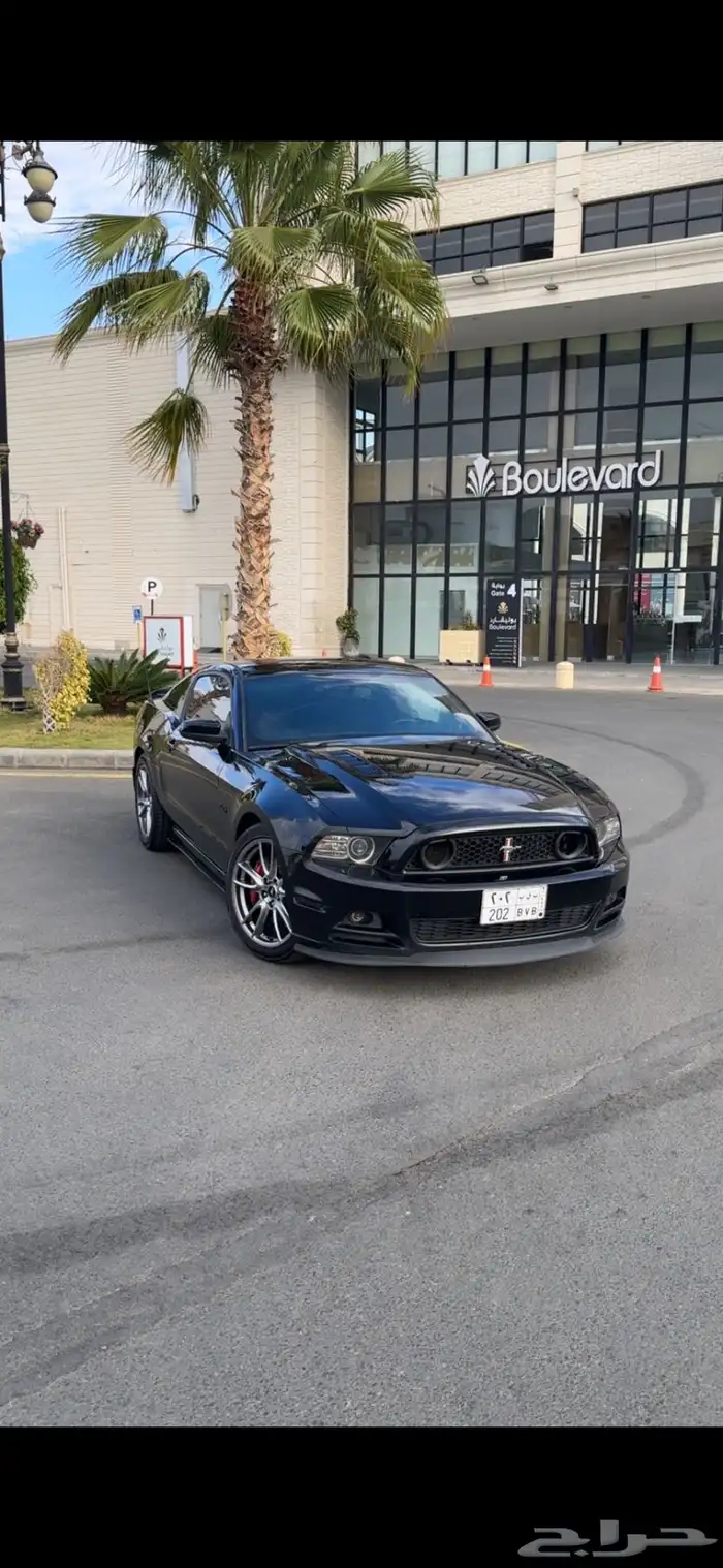 موستنق GT 2014 تراك باكج 2