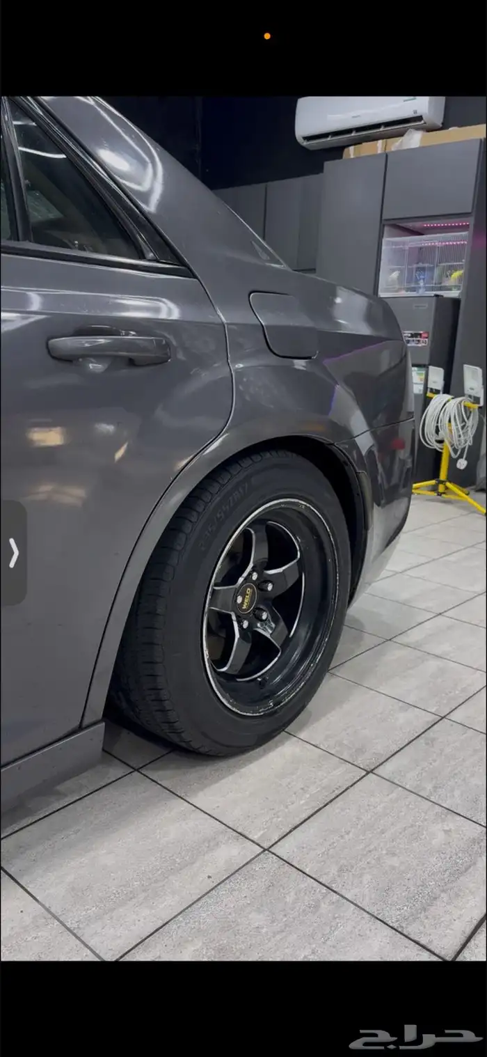 جنوط ويلدات 0