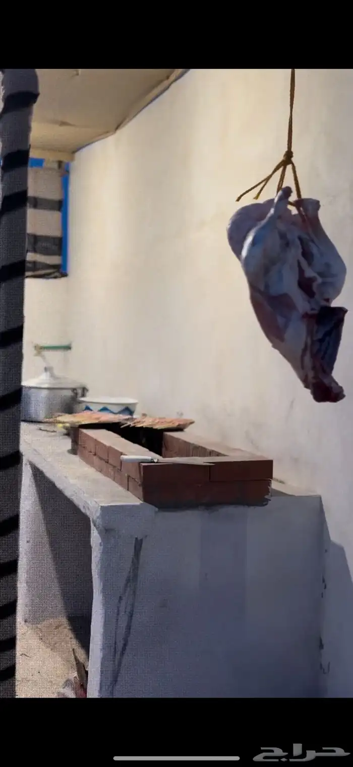 خيمة سداسية وجلسات في مربط الصويتية 3