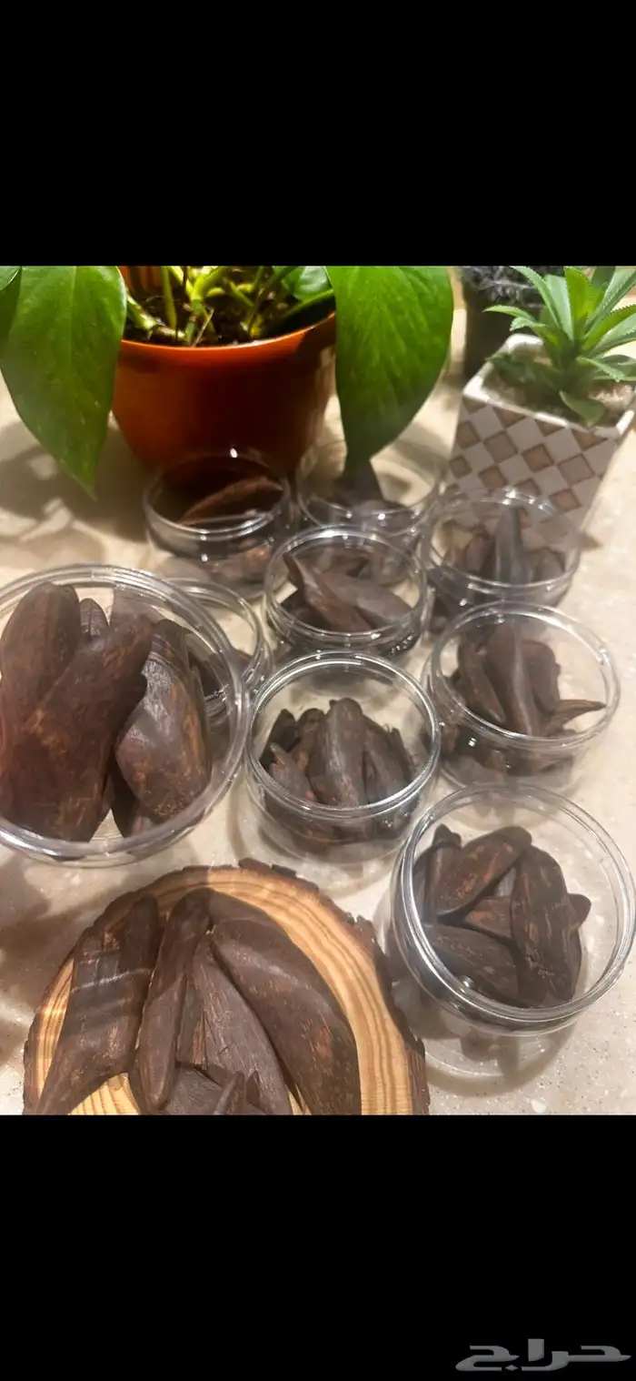 متوفر بخور وتوزيعات بخور 13