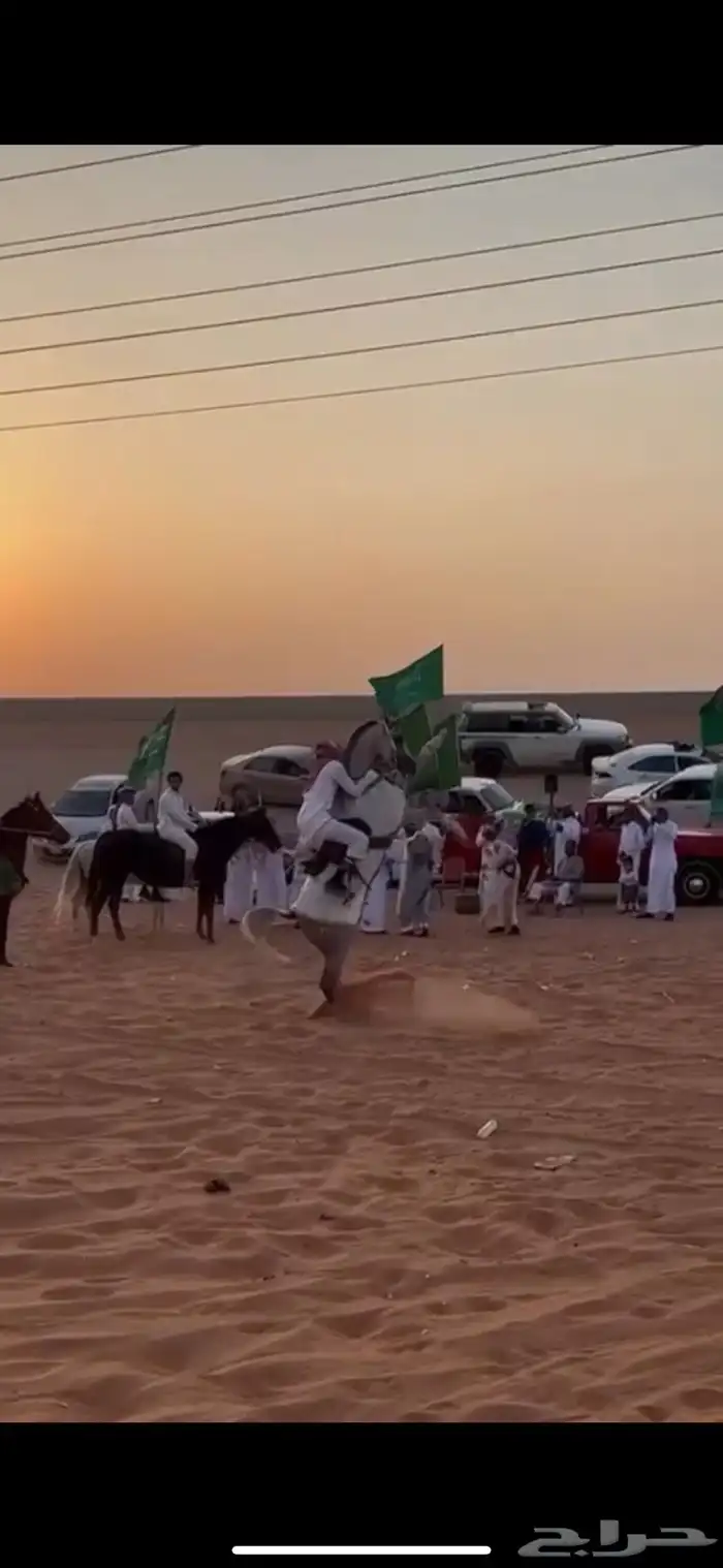 حصان واهو 10