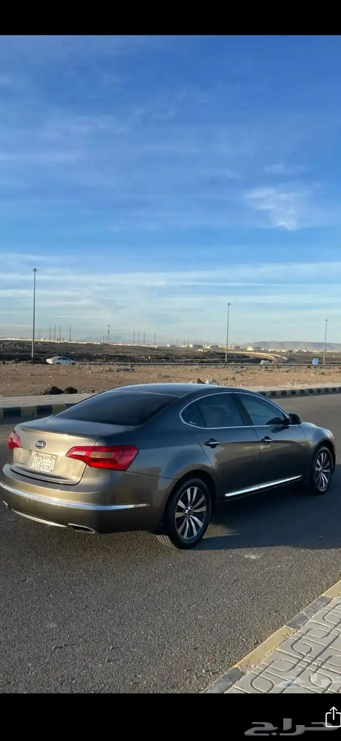 كادينزا 2012 1