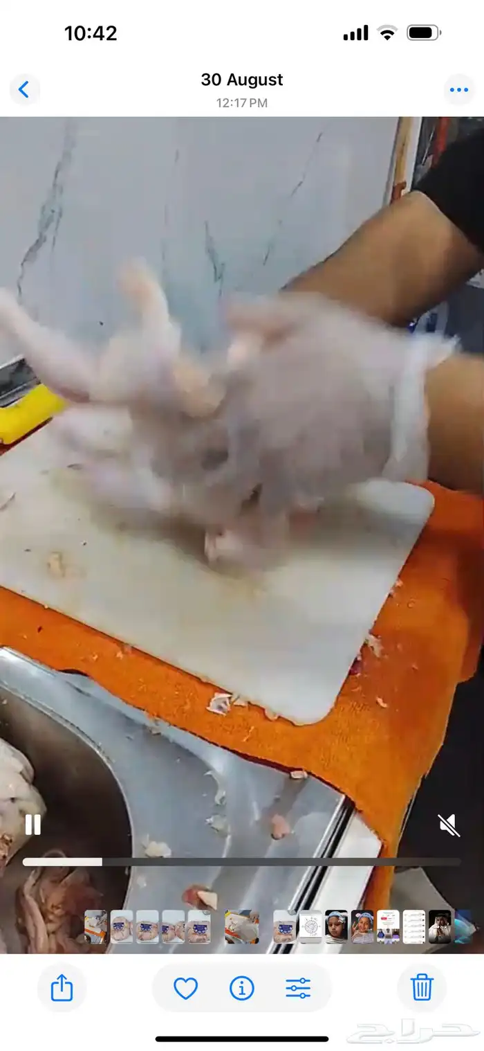 دجاج مسحب للشاورما الكيلو 18.5 4