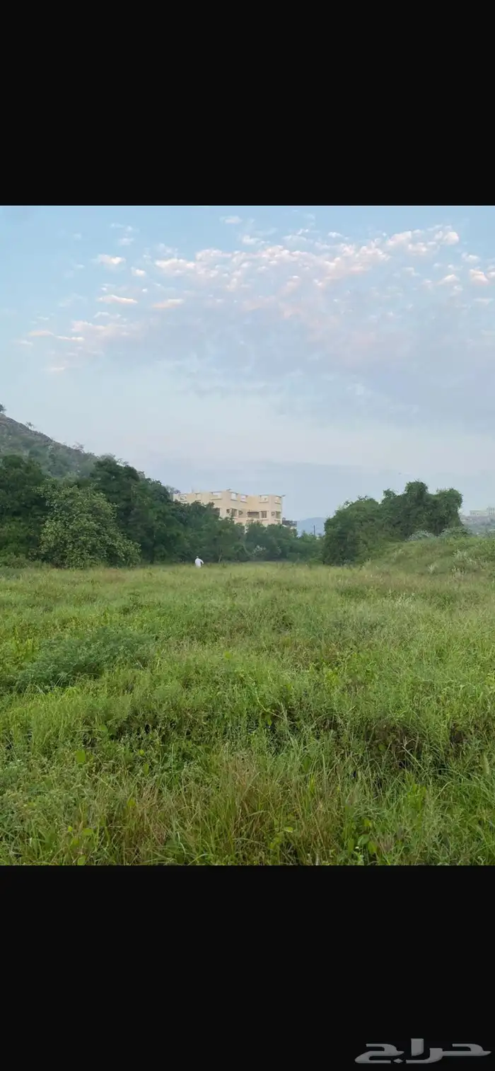 مزرعة للبيع 9