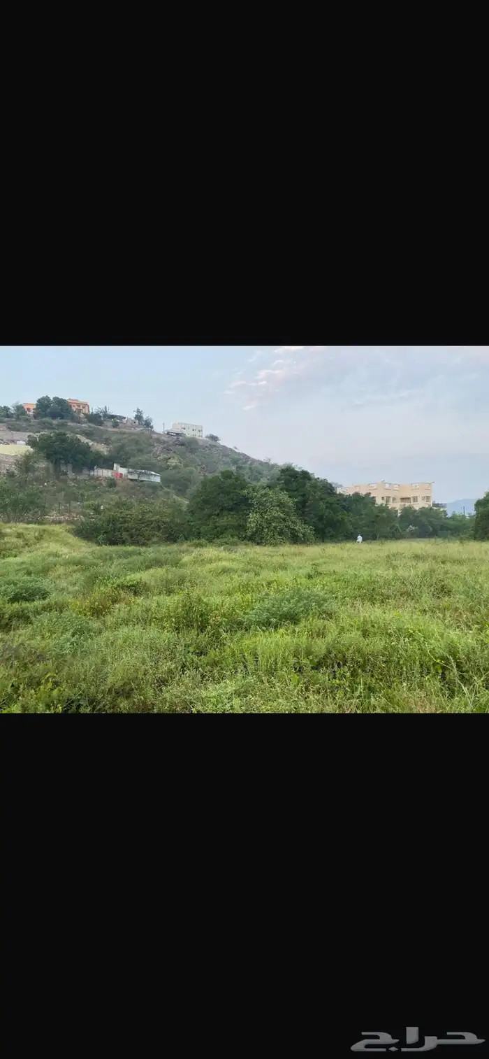 مزرعة للبيع 4