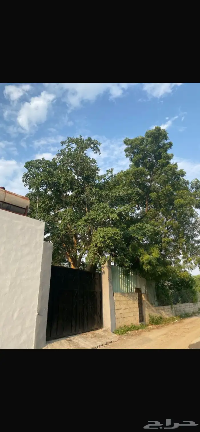 مزرعة للبيع 11