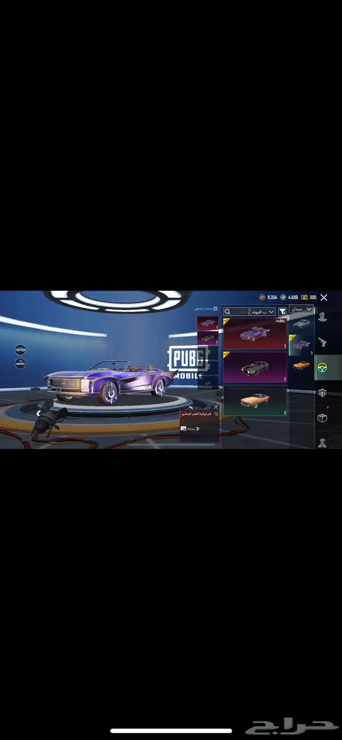 حساب ببجي نوادر 3