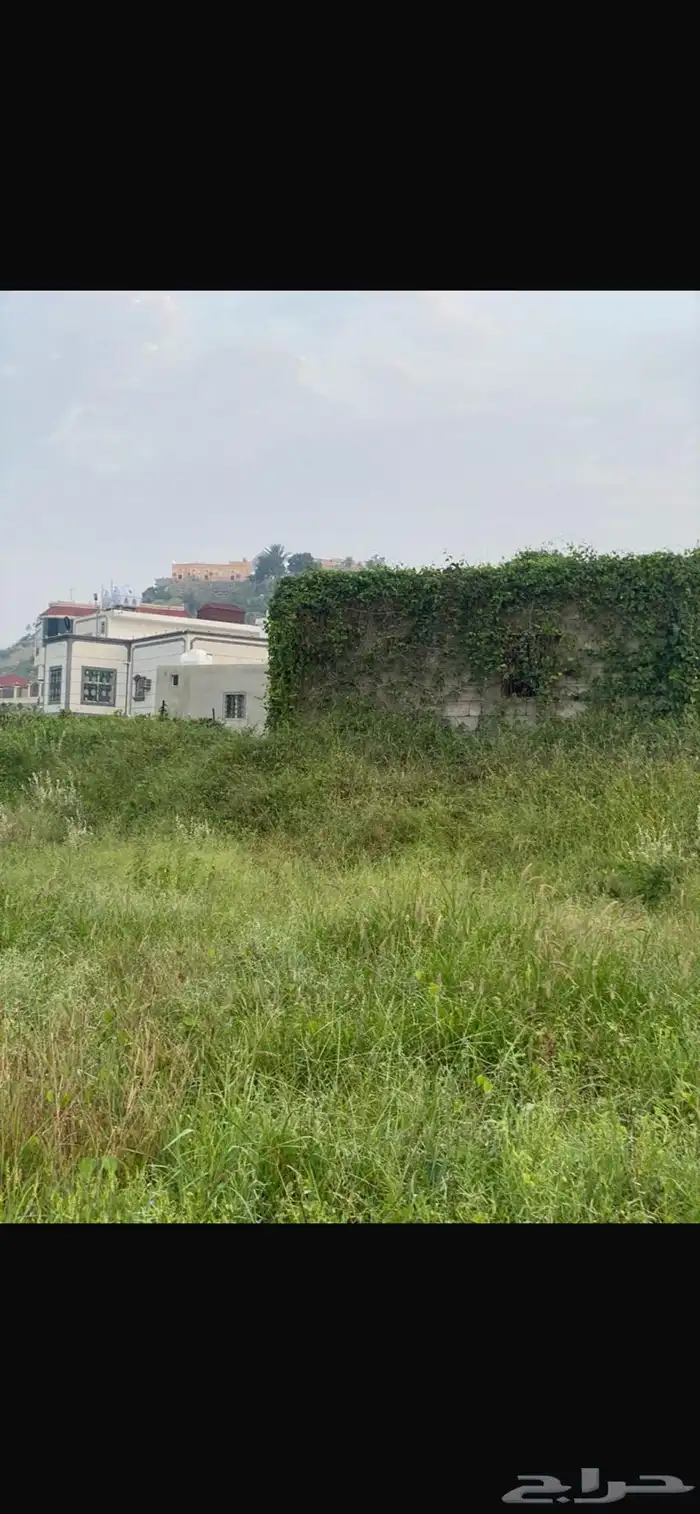 مزرعة للبيع 6