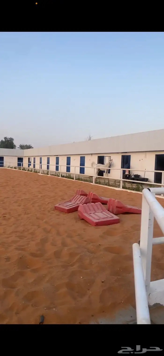 مربط السلطان 6