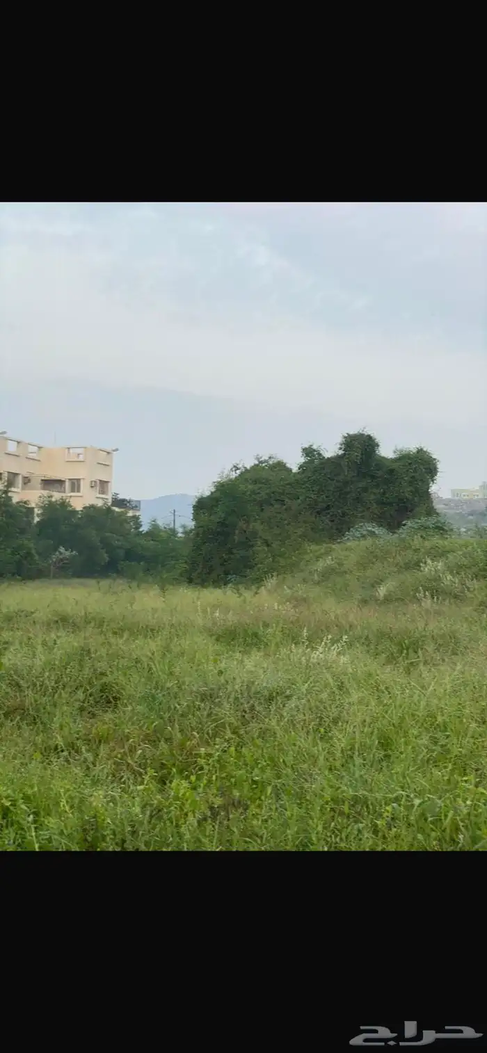 مزرعة للبيع 8