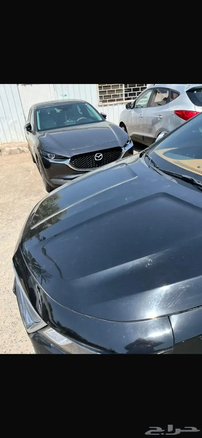 امبالا للبيع 6