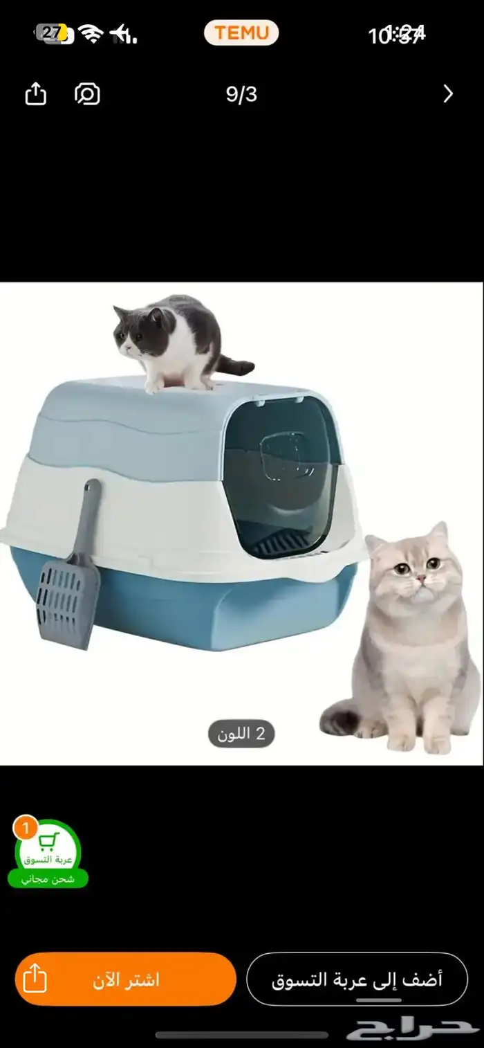 قطه للتبني 3