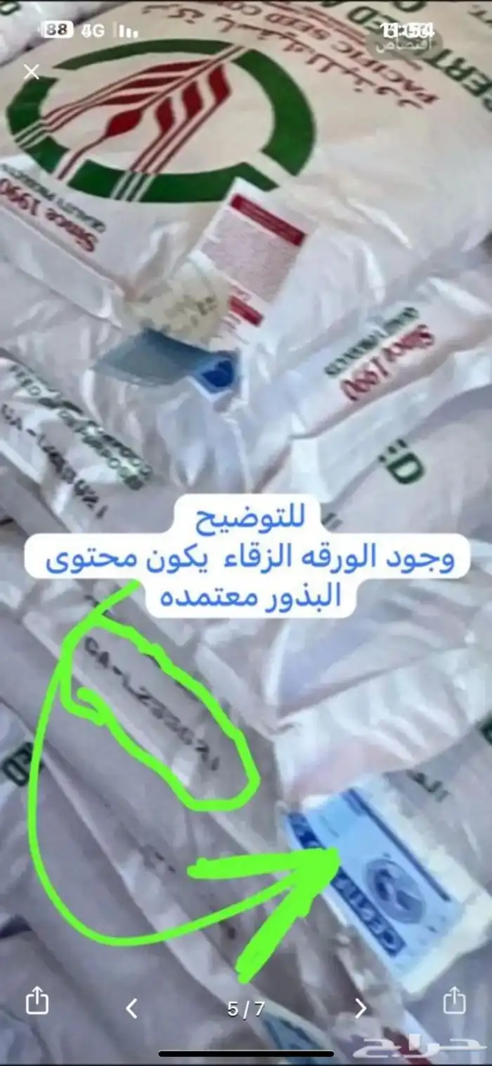 بذور برسيم . سرالصحراء 4