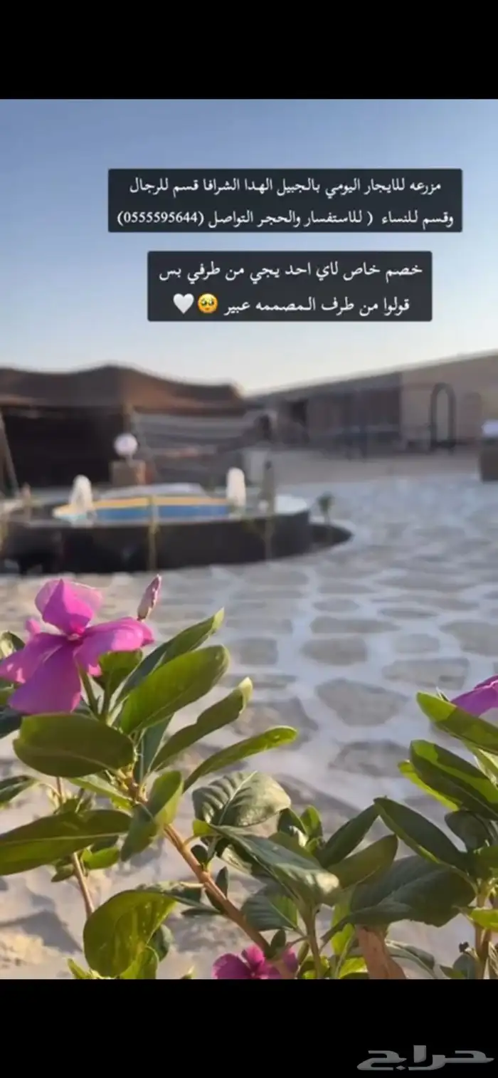 للايجار خيام وجلسات بمزرعه 3