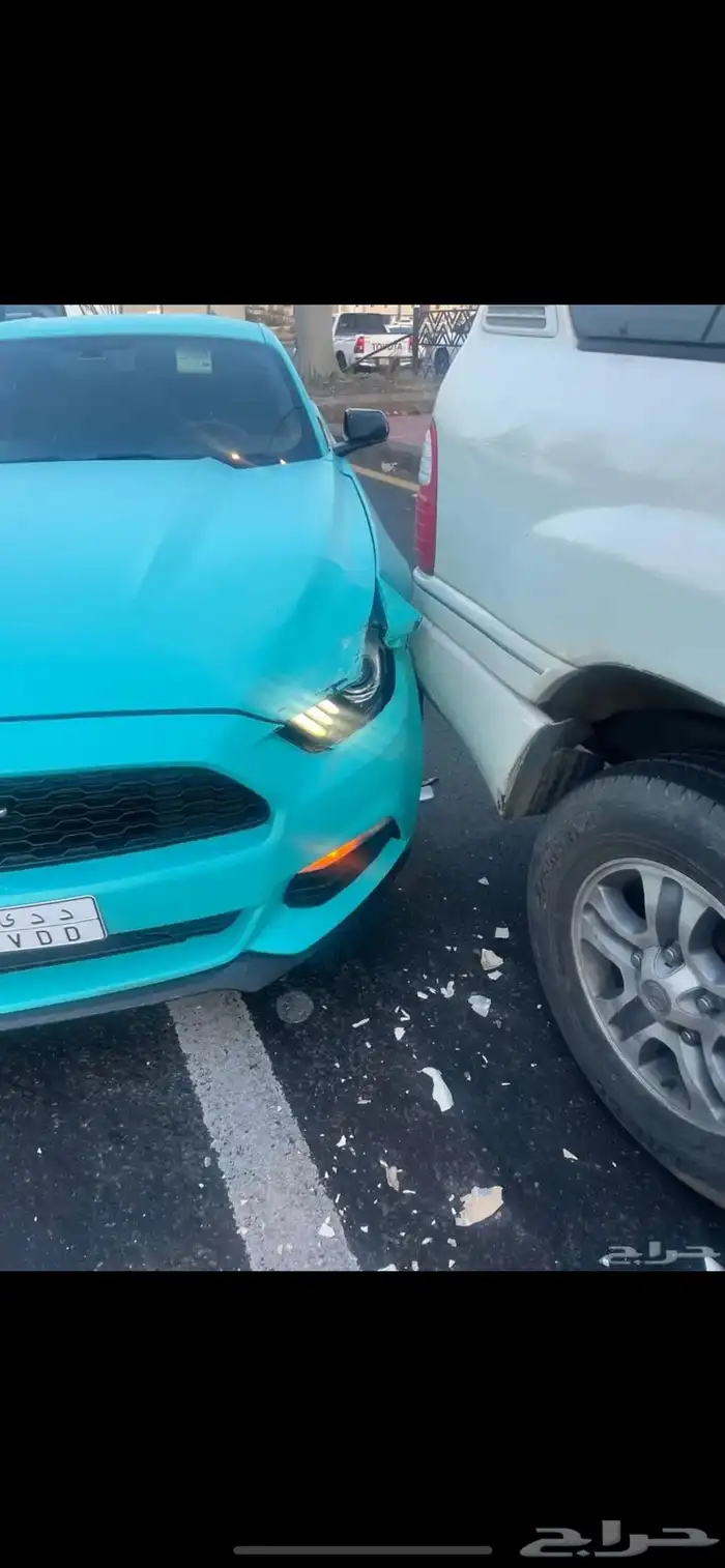 موستنج 2015 للبيع 12